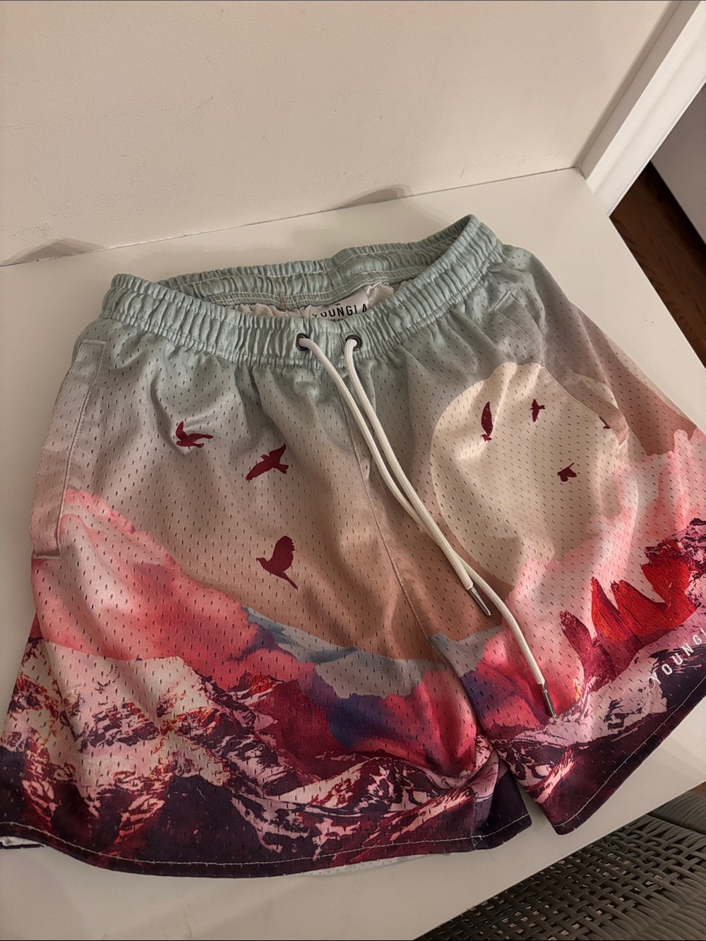YoungLA Men's Gradient Mountain Print Shorts in Mint, Pink, Red, Purple